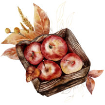 Autumn Fall Thanksgiving