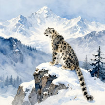 A Snow Leopard on Snowy Peak 