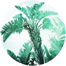 Cushions Throw Pillow #6