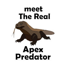 Komodo Dragon- Meet The Real Apex Predator