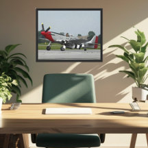 WW2 Vintage Airplane Airshow Photography