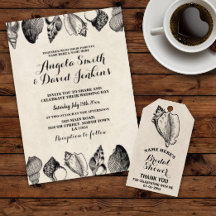 Illustrated Shells Cream