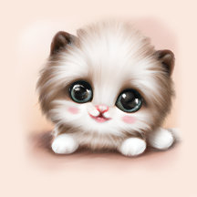 Cute Fluffy Furr Ball Kitten