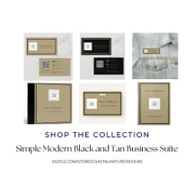 Simple Modern Black and Tan Business Suite