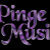 PingeMusicStore