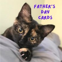 Father's Day cards
