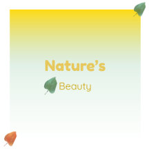 Nature’s Beauty