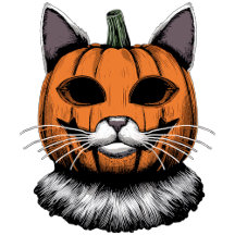 Halloween Cat, Pumpkin Face