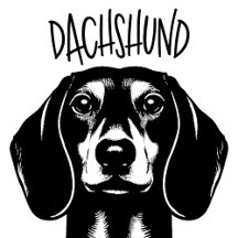 Dachshund Dog