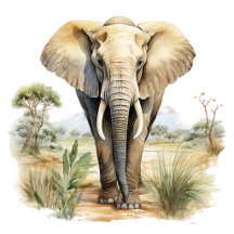 Animals Safari Elephant Lion Tigers Giraffe