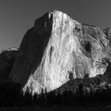 Yosemite National Park - Authentic Apparel 