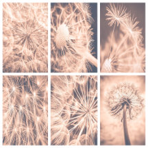 Soft Fairy Tale Dandelion Blowball 