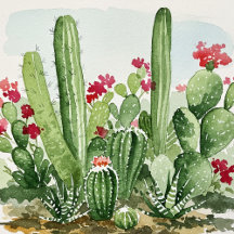 Watercolor cacti Illustrations