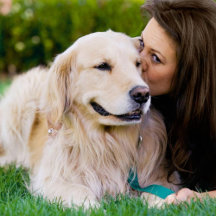 Modern Dog Lover - Pets