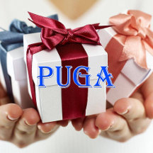 Puga_Name T-Shirt