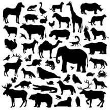 animals & pets lovers