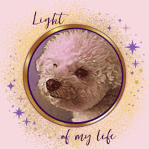 Light of My Life