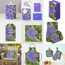 Portuguese Squill Flowers Closeup Nature Photo