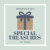 Special Treasures by Traci