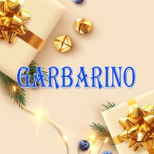 Garbarino_Name T-Shirt