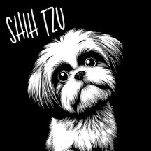 Shih Tzu Dog
