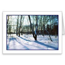 The Peace & Beauty of Winter