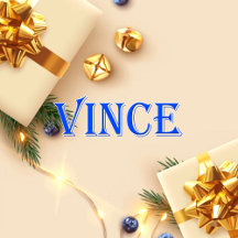 Vince_Name T-Shirt