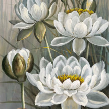 Ellis Rowan White Water Lily