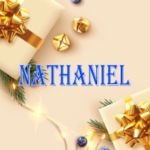Nathaniel_Name T-Shirt