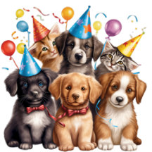 The Pawsome Party Collection