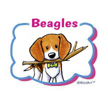 Beagles