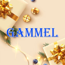 Gammel_Name T-Shirt