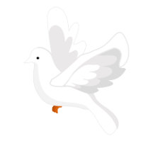 DOVE First Holy Communion