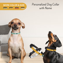 Personalized Dog Collar - Custom Text, Photos 