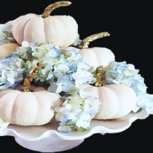 AUTUMN / FALL 🍁🍄🍂