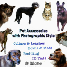 Pet Accessories with Photographic Style