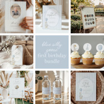 Blue One Silly Goose First Birthday Party Bundle