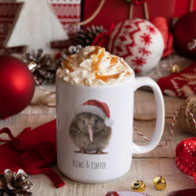 Cute Christmas Kiwi