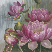 Ellis Rowan Pink Water Lily