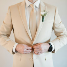 Elegant Beige Wedding Ties Collection