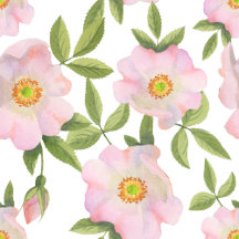 Picnic Plates and Accessories