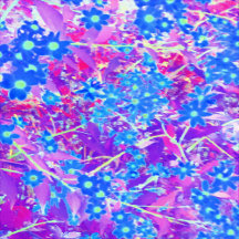 Pretty Violet Blue and Lime Green Flowers