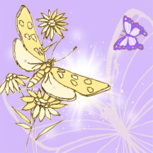 Purple Peach Butterfly Birthday Party Collection