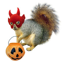 Halloween Squirrels