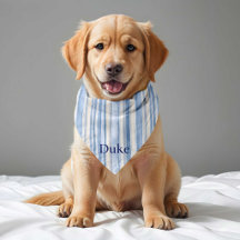 Blue Beige Stripe Pattern Pet Accessory Collection
