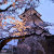 Bewitching Daylight