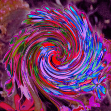 Cool Red, Blue and Pink Abstract Floral Swirl