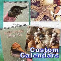Custom Wall Calendar, Any Year