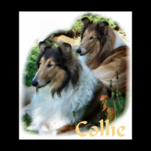 Two Sable Rough Collies Art