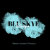 BluSkyeDesign